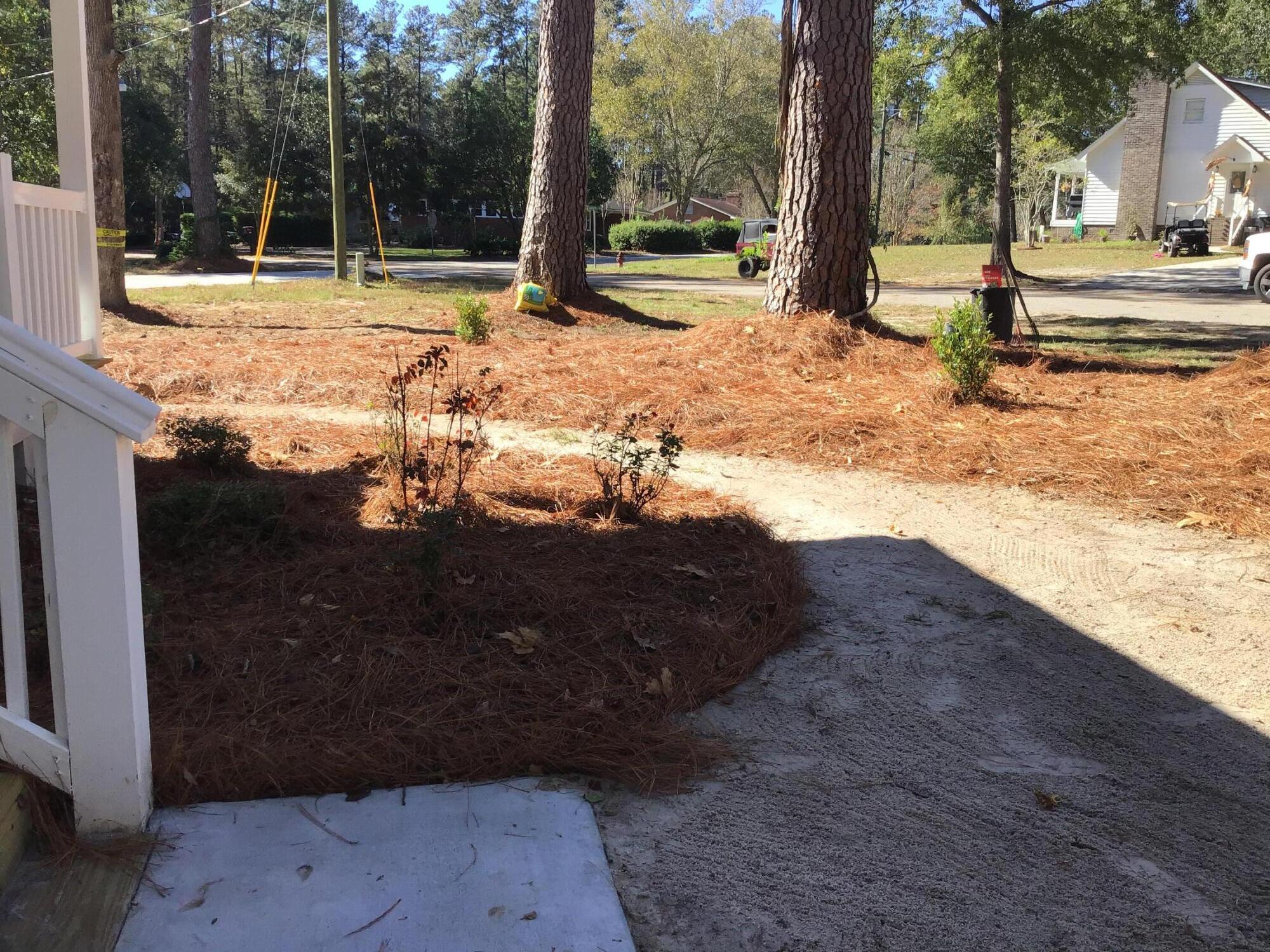 317 Churchill Road Walterboro, SC 29488 - Photo 3 of 40 Front Yard