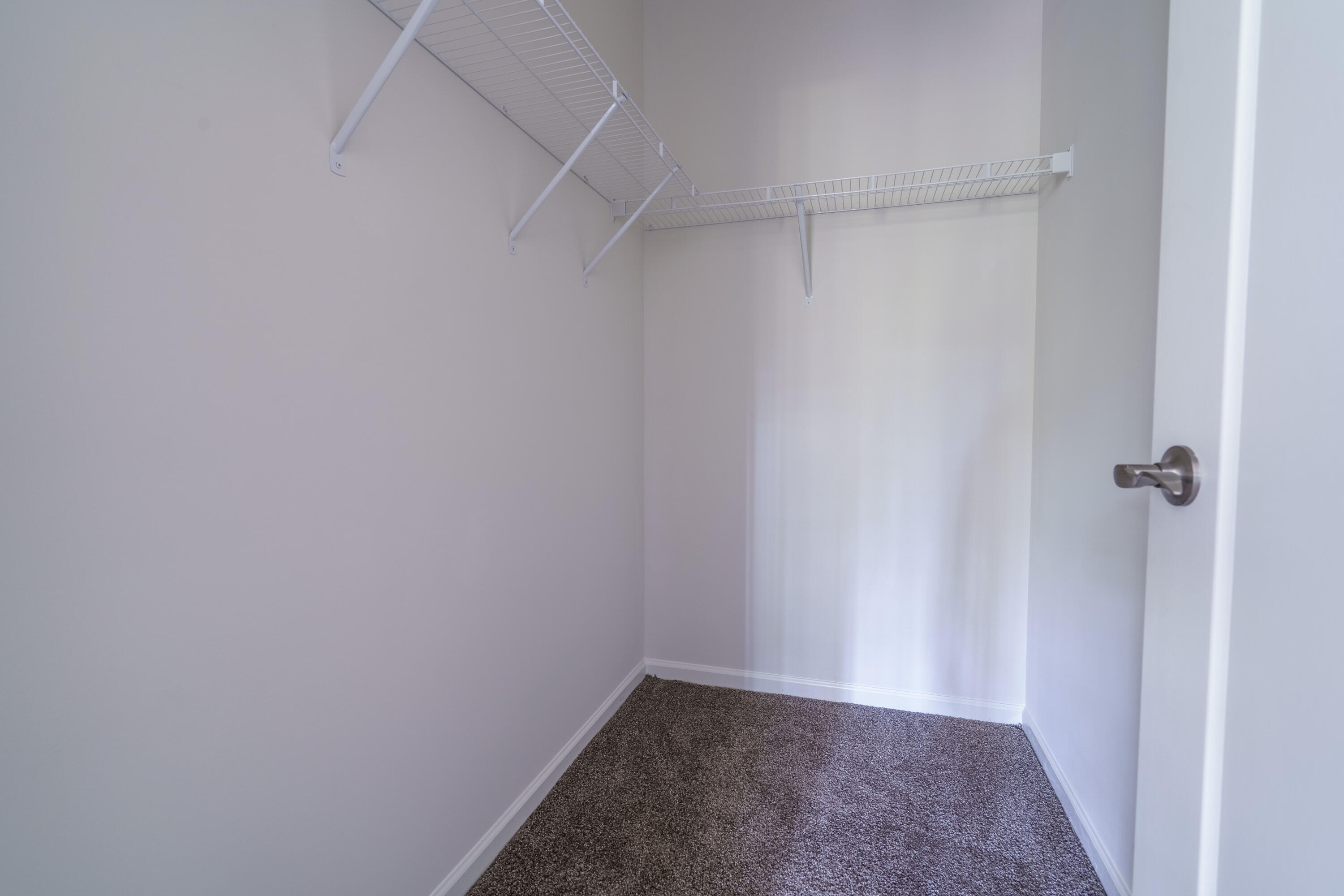 317 Churchill Road Walterboro, SC 29488 - Photo 33 of 40 Bedroom Closet