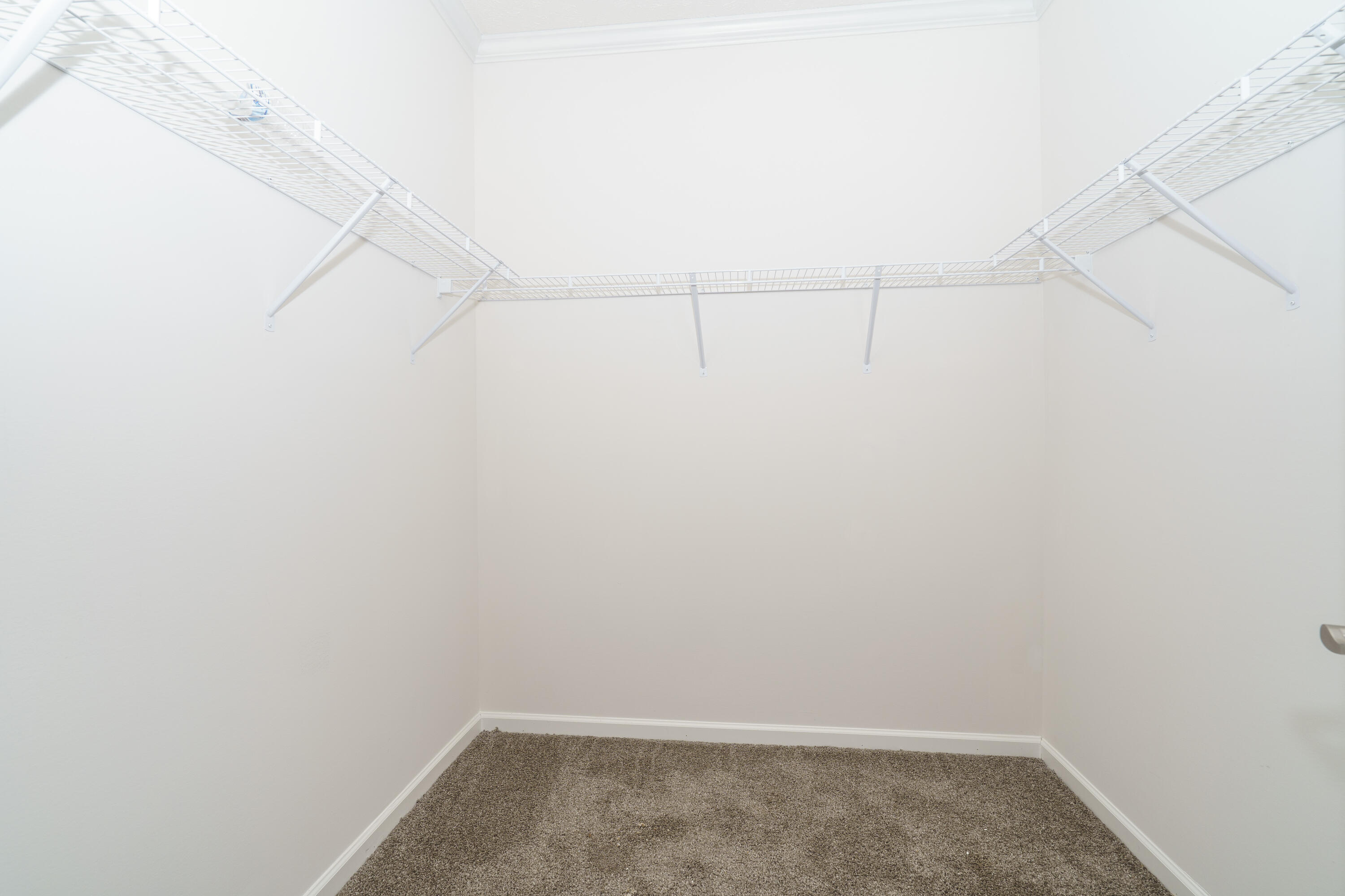 317 Churchill Road Walterboro, SC 29488 - Photo 34 of 40 Master Closet