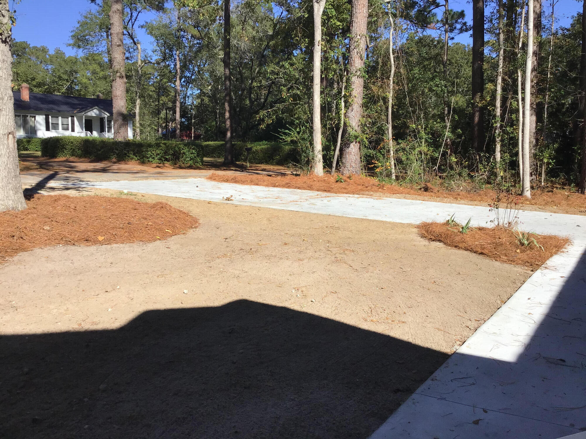 317 Churchill Road Walterboro, SC 29488 - Photo 4 of 40 Front Yard