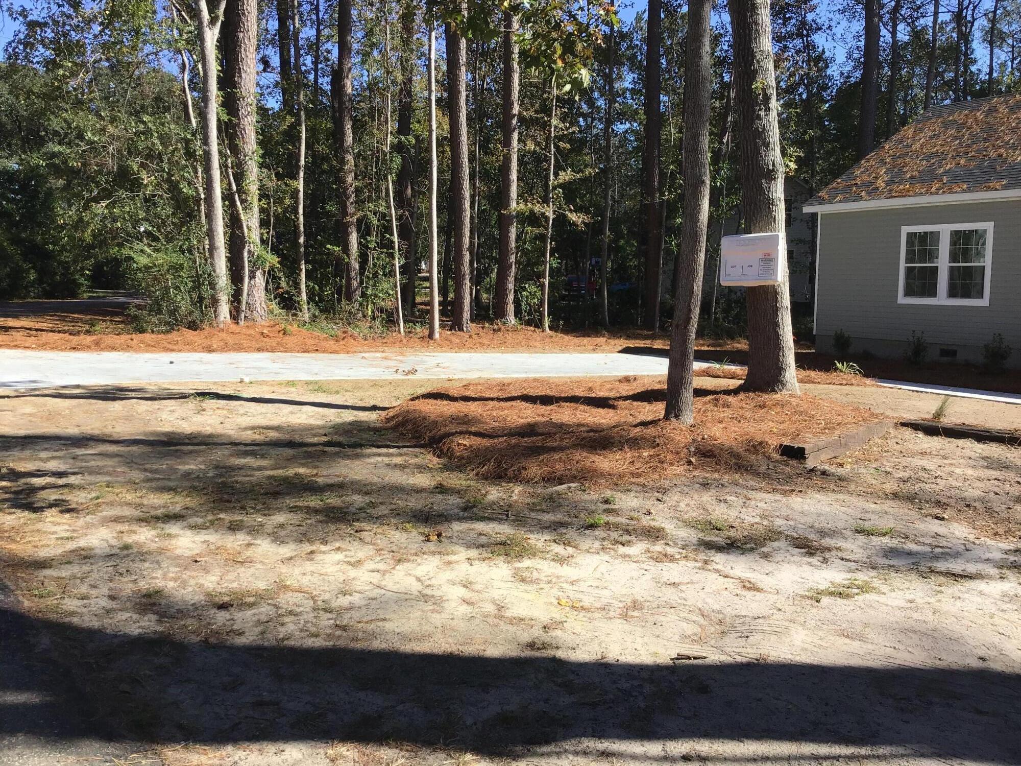 317 Churchill Road Walterboro, SC 29488 - Photo 9 of 40 Driveway