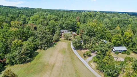 a view of a yard with plants