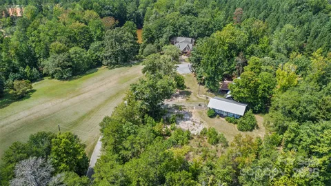 a view of a yard with plants and large trees
