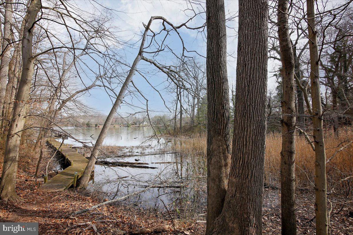28619 Edgemere Road Easton, MD 21601 - Photo 25 of 37 Peachblossom Creek