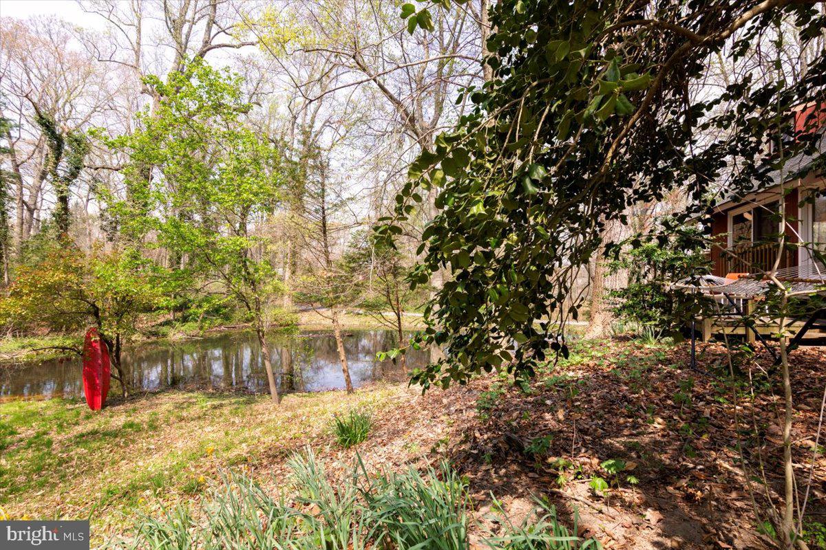 28619 Edgemere Road Easton, MD 21601 - Photo 32 of 37 Gallery Image 32