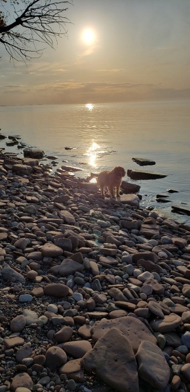 199 Mill Stream Run Webster, NY 14580 - Photo 50 of 50