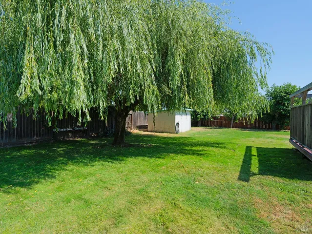 a view of a park with a trees