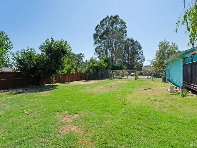 a view of a park with large trees
