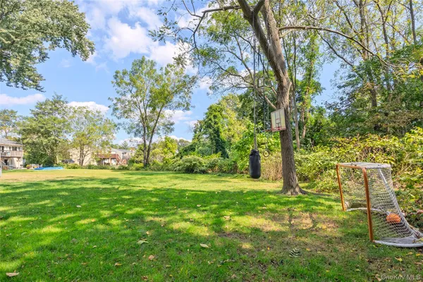 a view of a trees with a yard