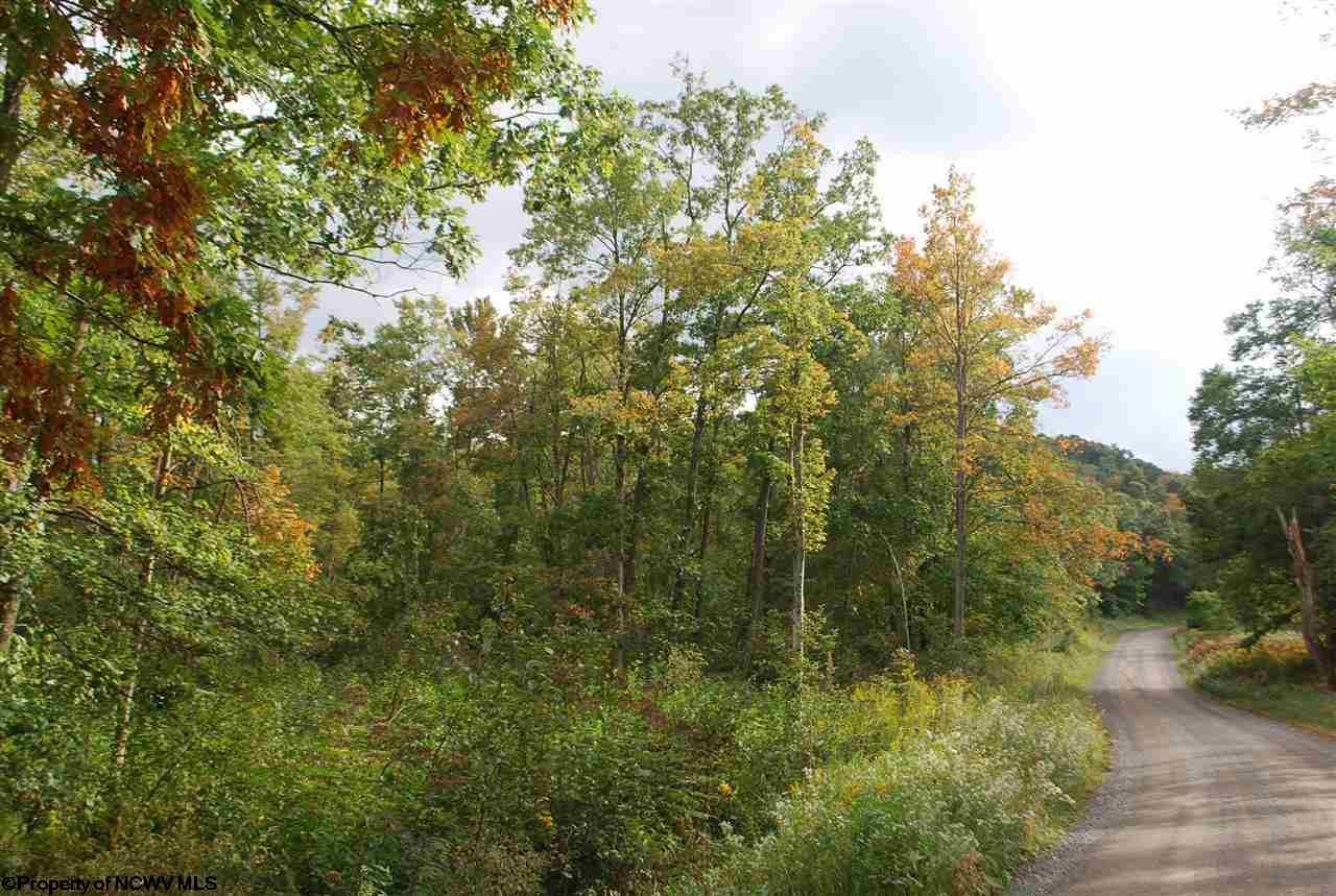 4 Cranesville Road Terra Alta, WV 26764 - Photo 12 of 18 Gallery Image 12