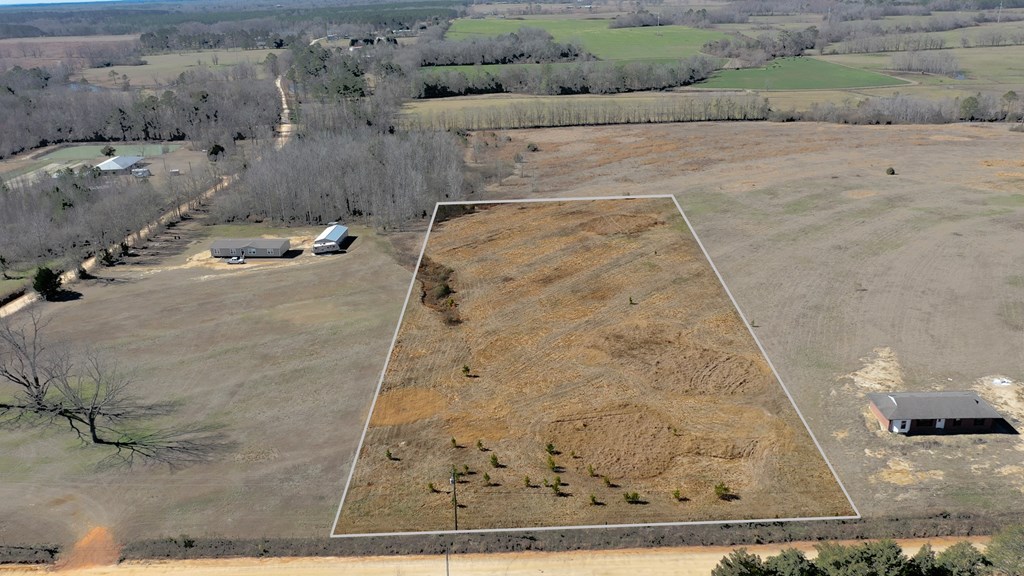 1132 Grant Road Slocomb, AL 36375 - Photo 2 of 14