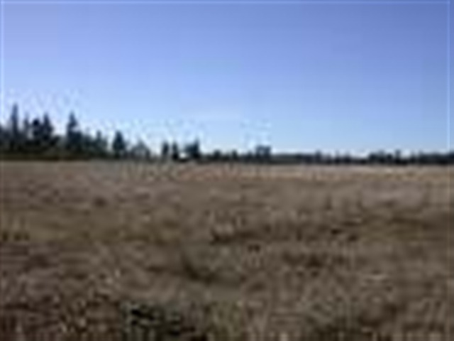 1320 East Smythe Road Spangle, WA 99031 - Photo 3 of 8
