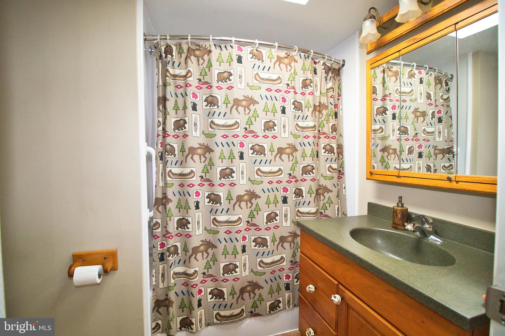 1005 Callowhill Road Perkasie, PA 18944 - Photo 16 of 24 Full Bath