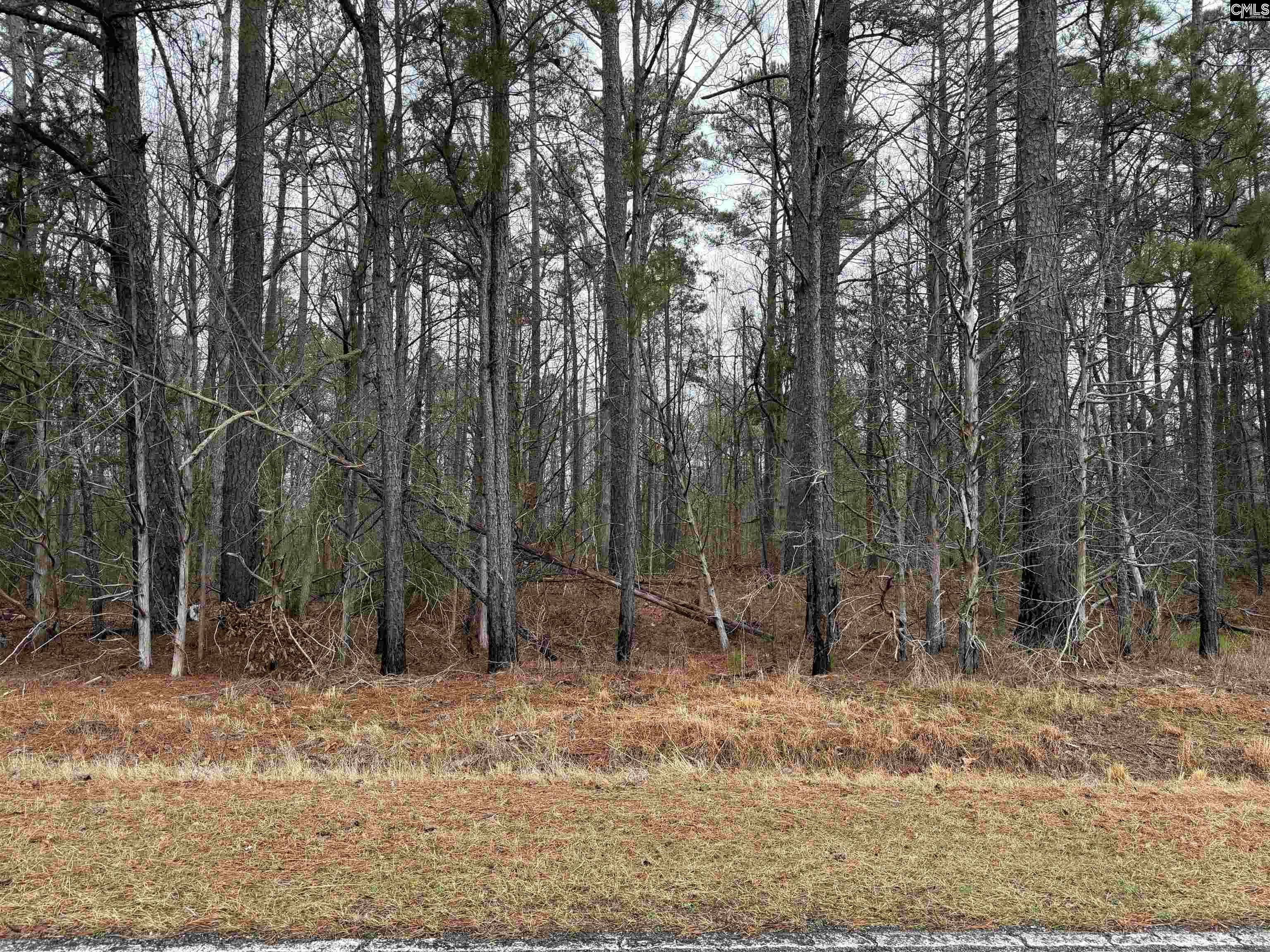 0 St Philips Church Road Prosperity, SC 29127 - Photo 4 of 5
