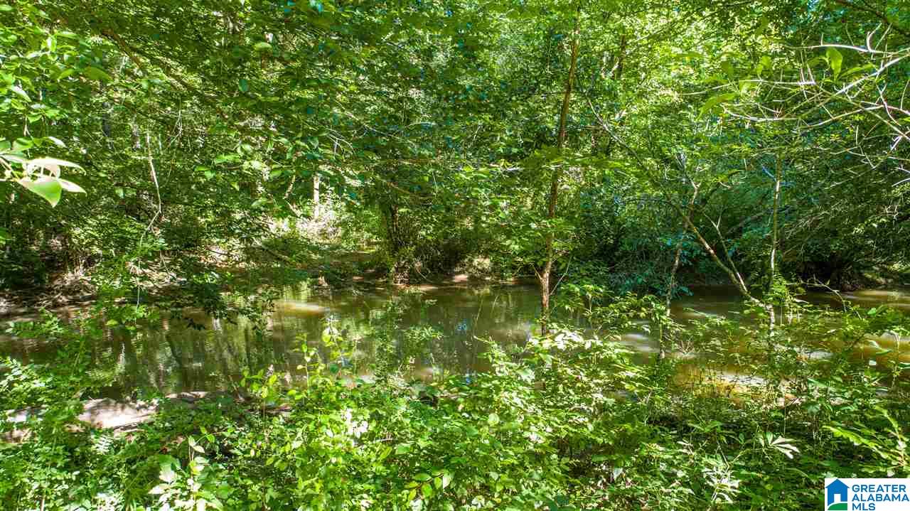 1126 Highway 144 Ragland, AL 35131 - Photo 19 of 22
