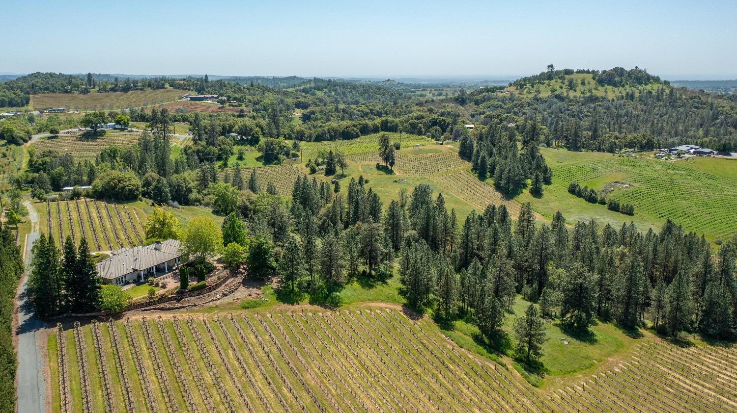 13320 Oakstream Road Plymouth, CA 95669 - Photo 82 of 98