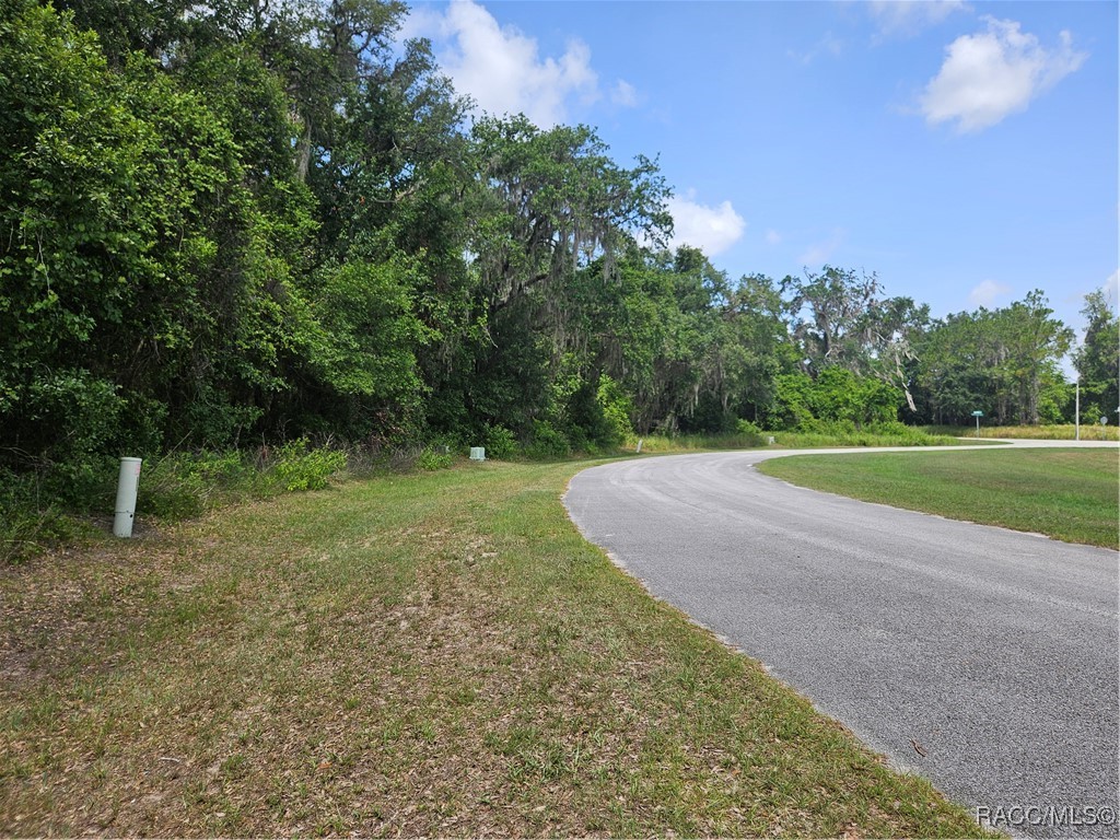 2828 East Chartwell Circle Hernando, FL 34442 - Photo 6 of 17