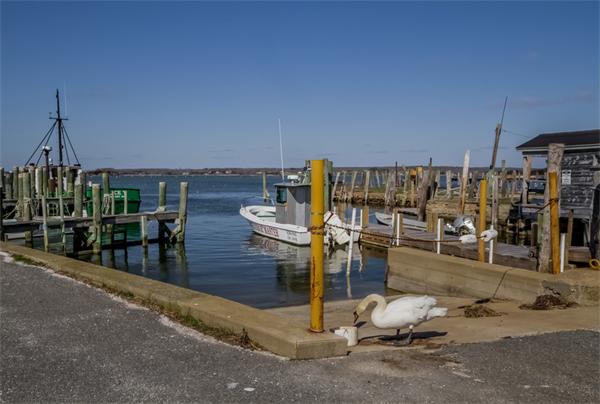 1970 Main Road Westport, MA 02791 - Photo 6 of 25