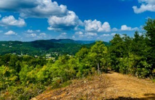 8 High Rdg Way Sevierville, TN 37862 - Photo 7 of 10 Gallery Image 7