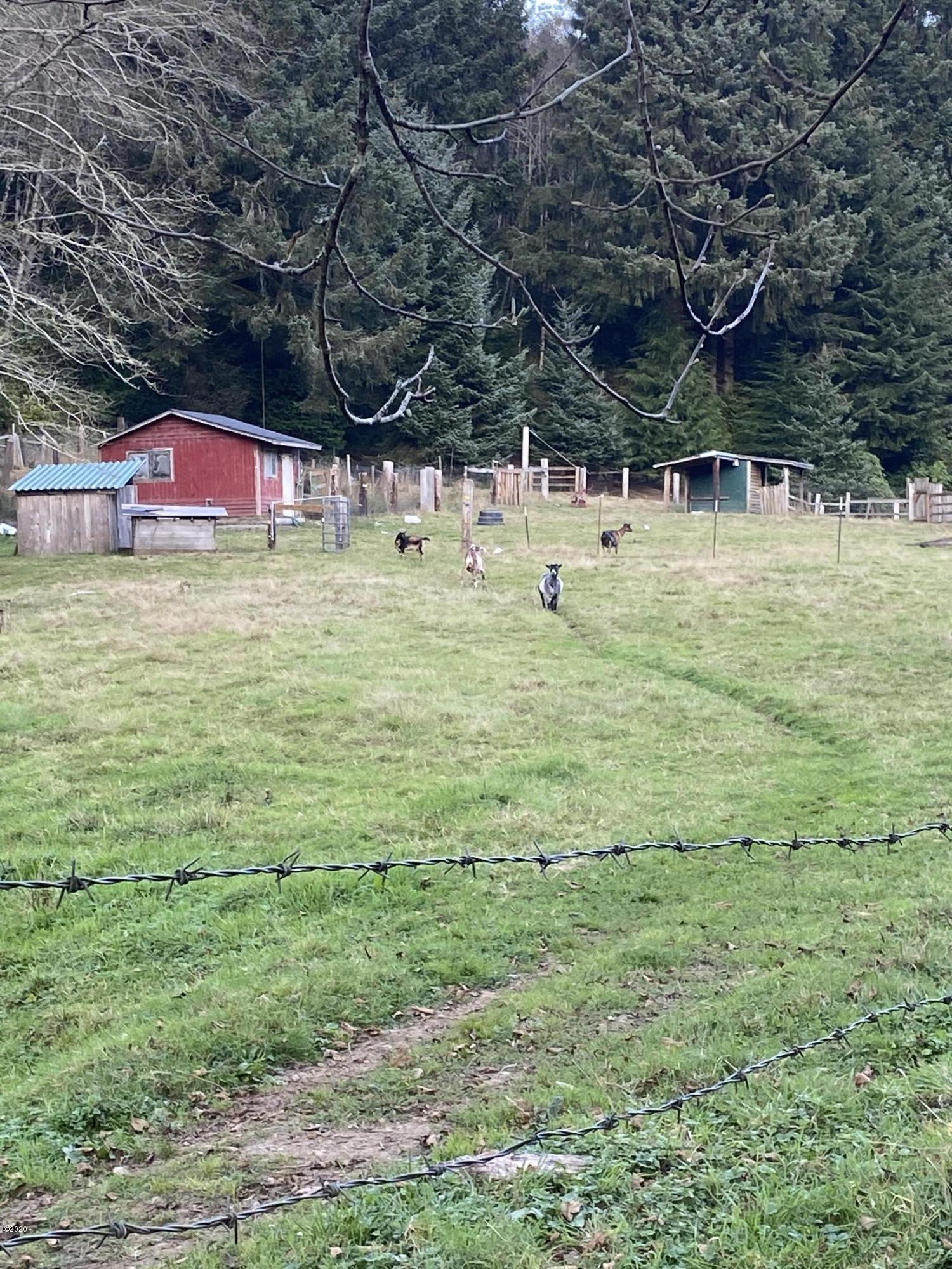 9490 Slab Creek Road Neskowin, OR 97149 - Photo 17 of 22 Pasture 3