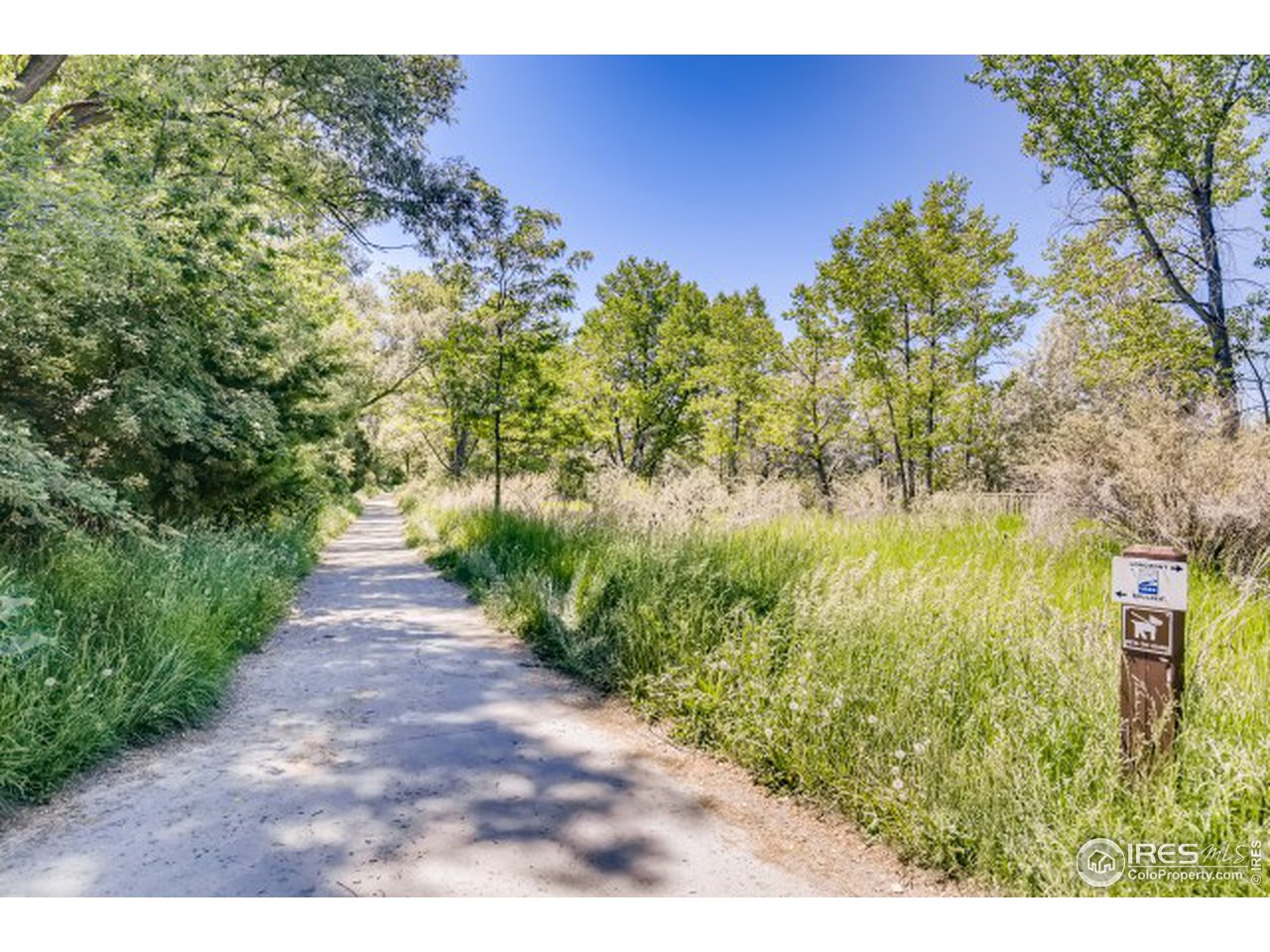 7253 Park Lane Road Longmont, CO 80503 - Photo 36 of 40 Gallery Image 36