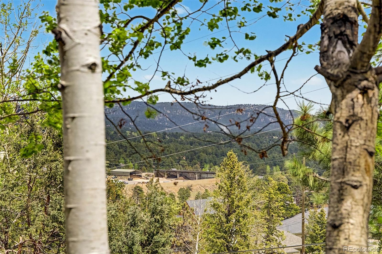 31270 John Wallace Road, Unit 305 Evergreen, CO 80439 - Photo 14 of 47