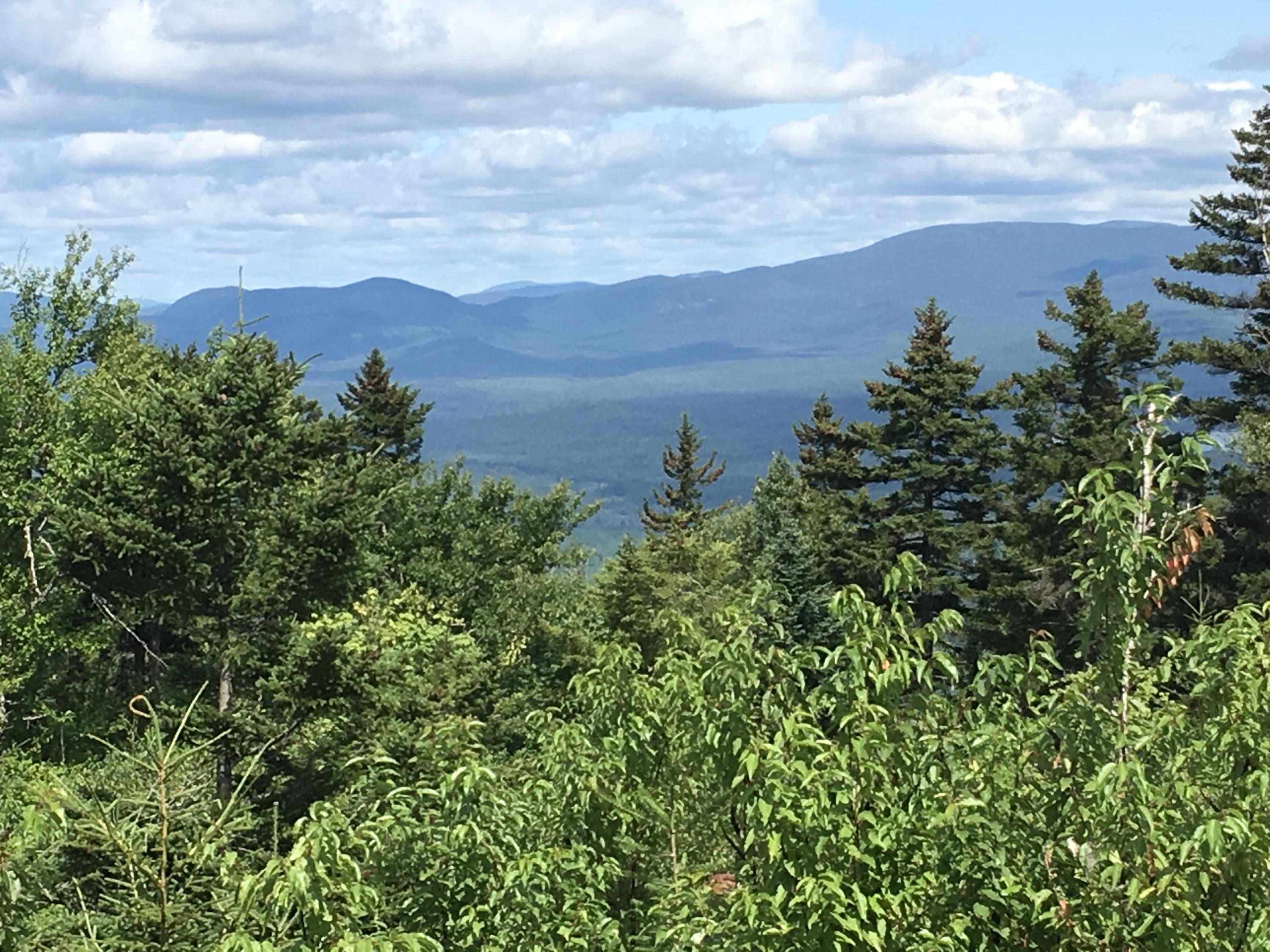 0 Tower Road Rumford, ME 04276 - Photo 9 of 34 CE9FF6A9-056A-4C77-883D-80B30C71B036