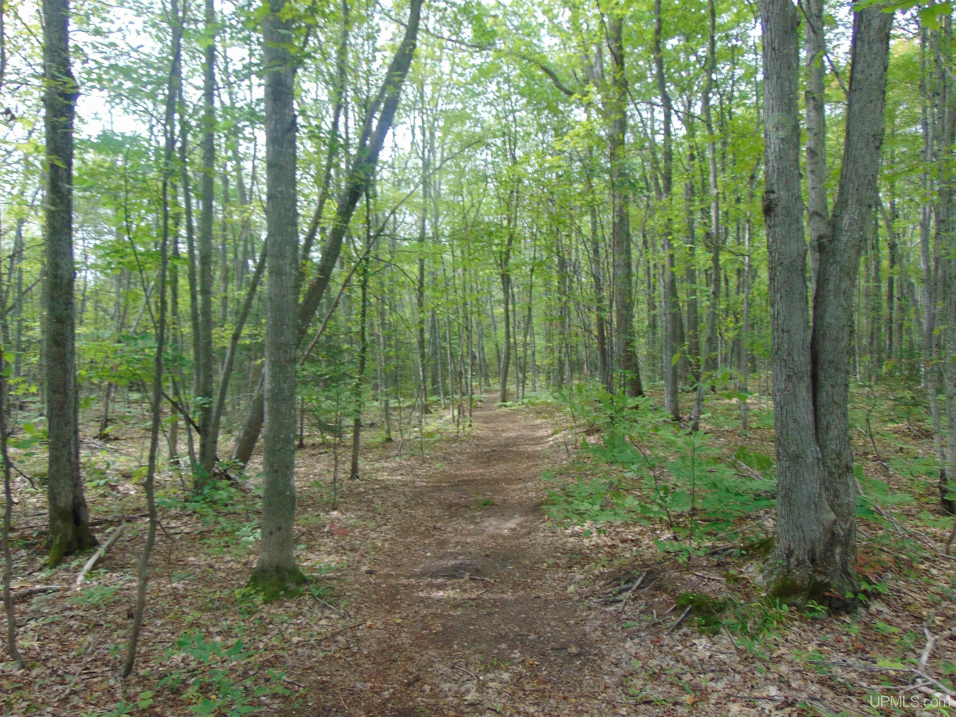 15 Coles Creek Road Atlantic Mine, MI 49905 - Photo 23 of 31