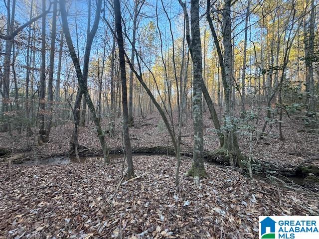 170 Valley Grove Road, Unit 45 AC Cragford, AL 36255 - Photo 18 of 19