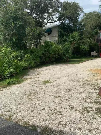 a view of a yard with plants and trees