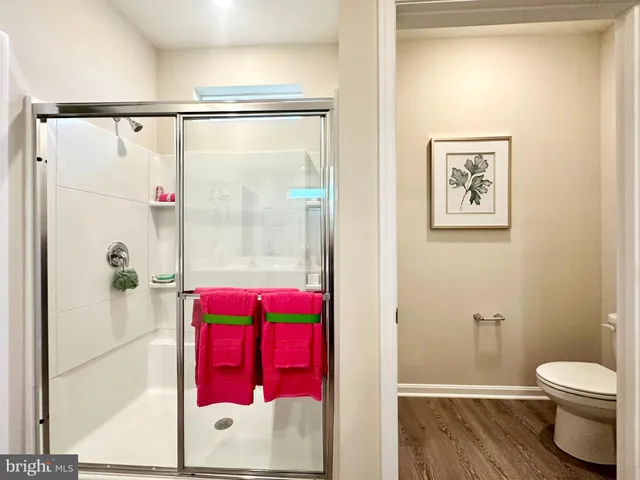 a bathroom with a shower and a toilet