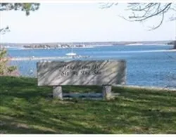 a view of a garden with an outdoor space