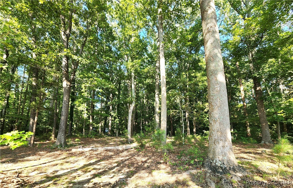 7588 Ware Neck Road Gloucester, VA 23061 - Photo 17 of 17 Gallery Image 17
