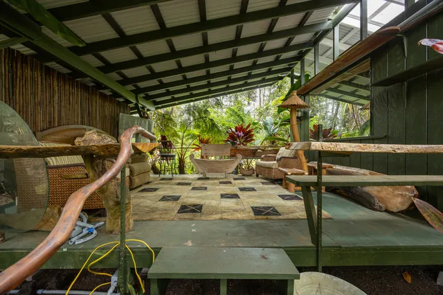 a view of a backyard with plants