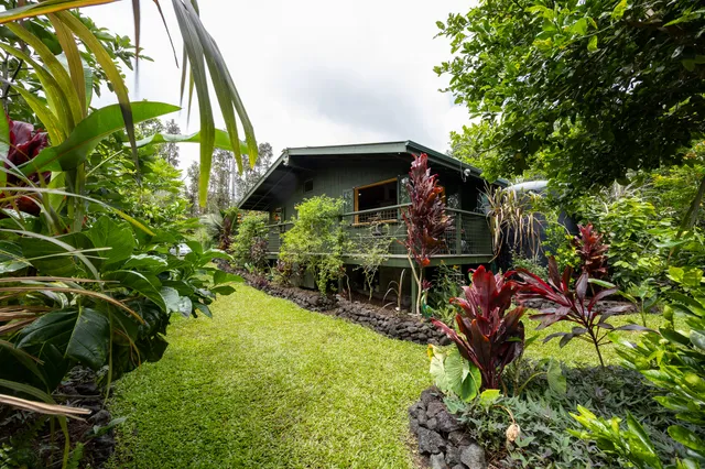 a outdoor space with patio the couches and a potted plant with the view of garden