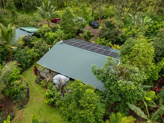 a view of a lush green forest