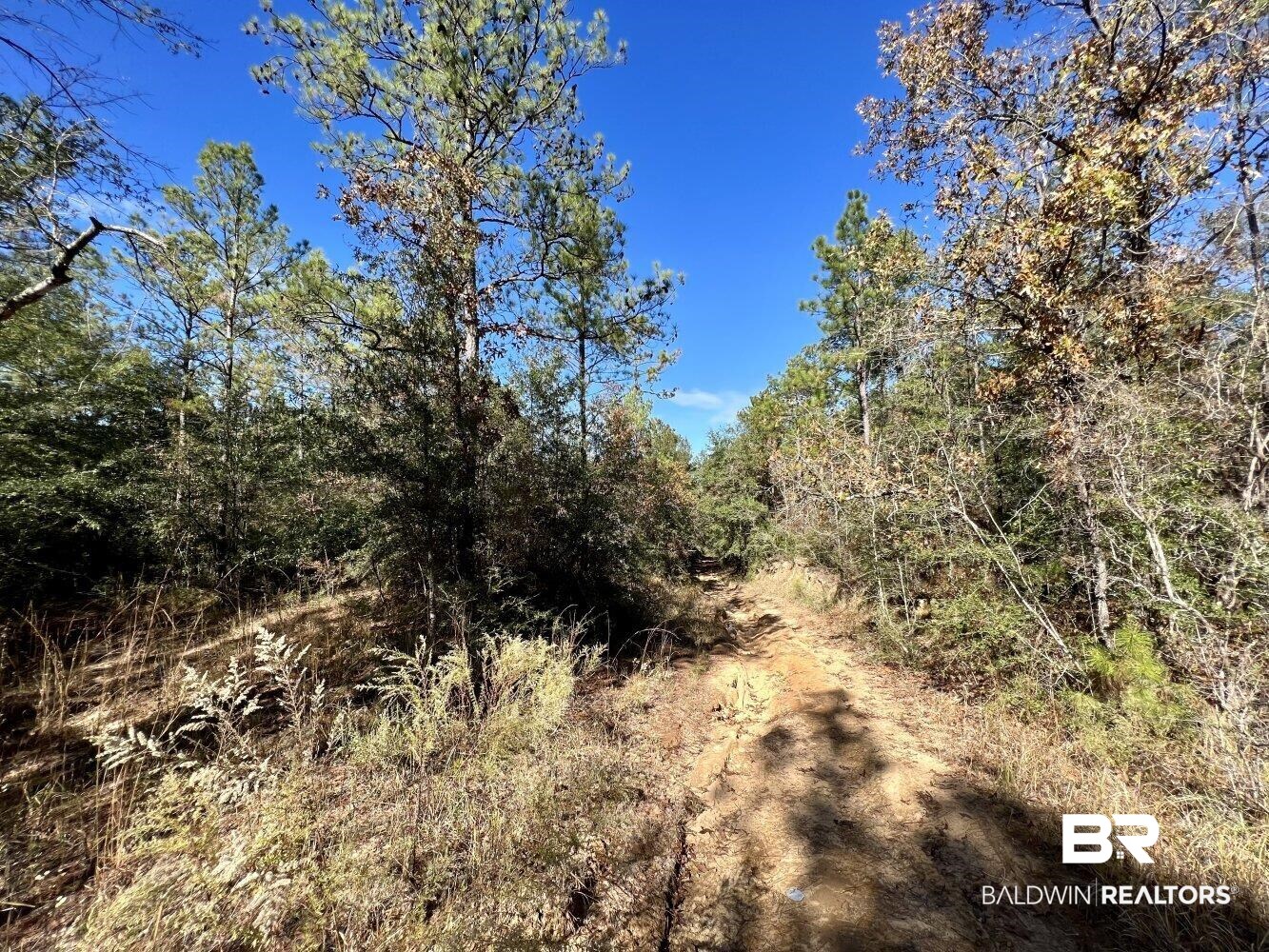 0 C C Road Chunchula, AL 36521 - Photo 11 of 27