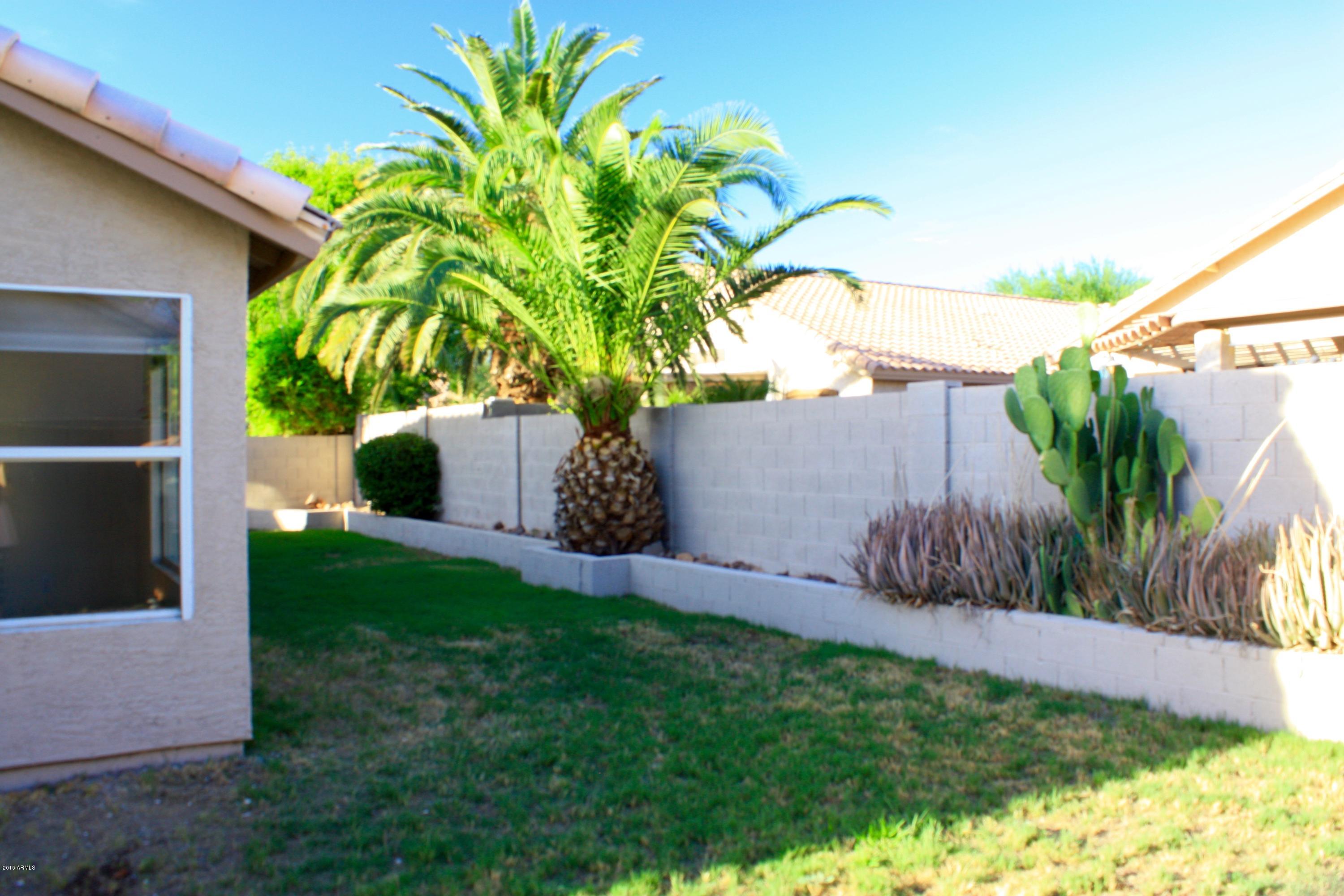 769 South Burk Street Gilbert, AZ 85296 - Photo 28 of 31 IMG_3549