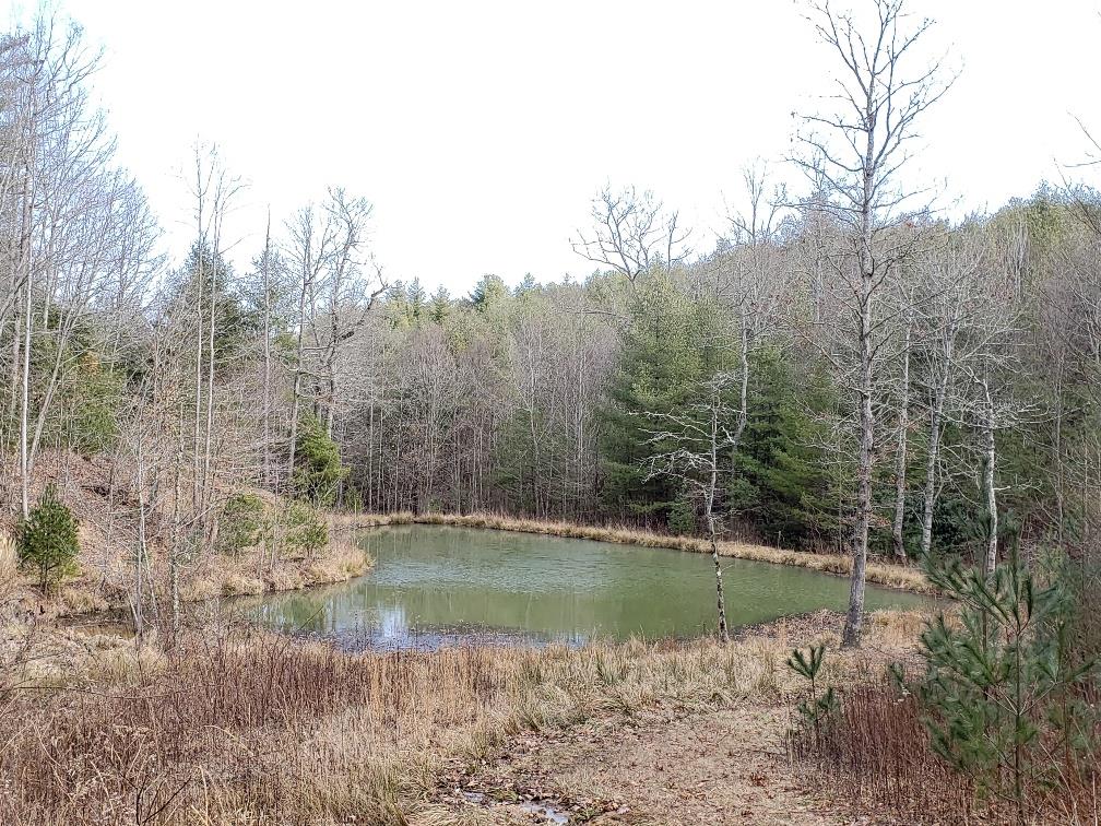 Tbd Pridemoore Road, Unit 143B Galax, VA 24333 - Photo 1 of 13 Gallery Image 1
