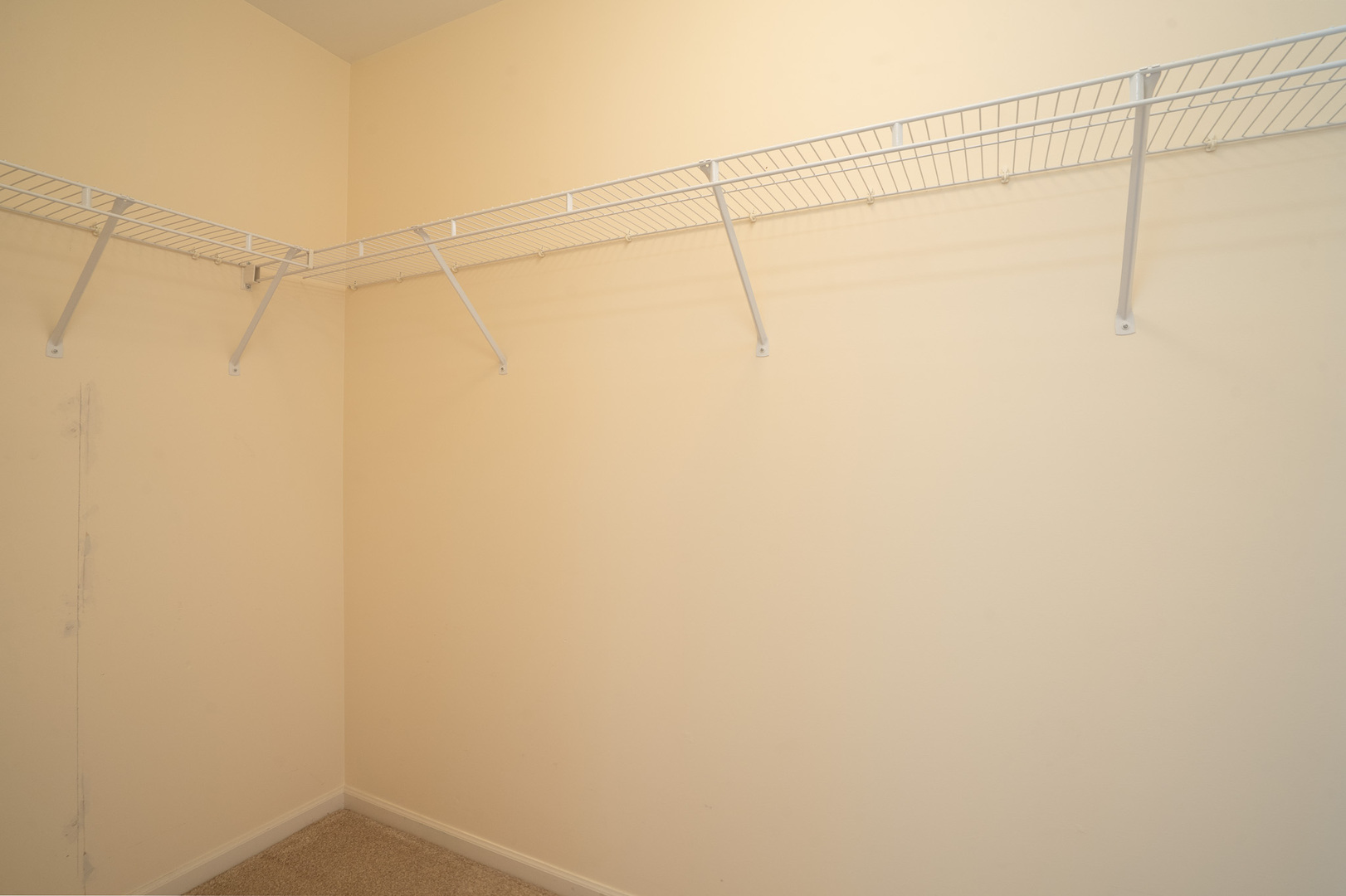 15329 Kenmare Circle Manhattan, IL 60442 - Photo 11 of 39