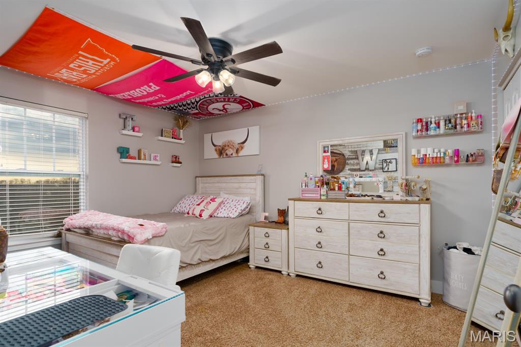 640 Willowbrook Way O'Fallon, IL 62269 - Photo 30 of 46