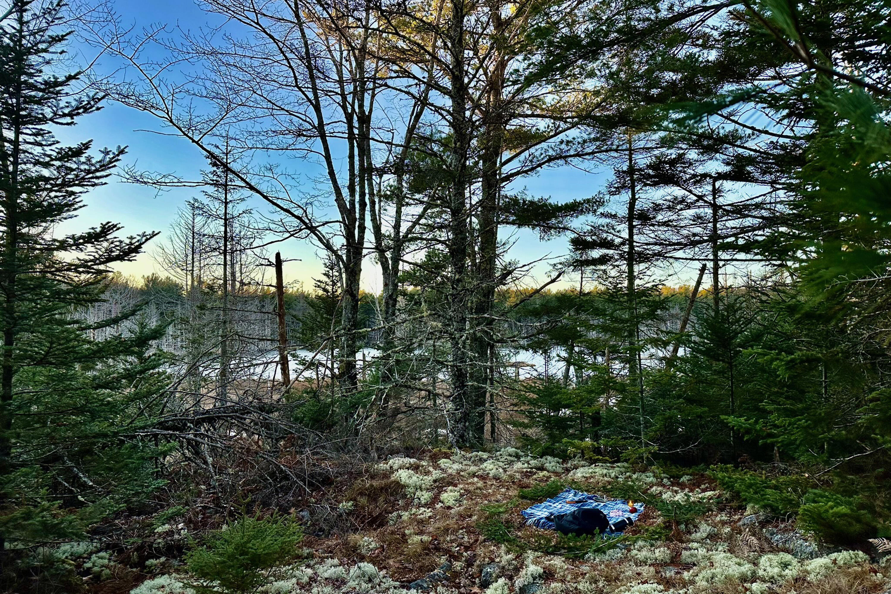 Lot 9 Bluff Road Bar Harbor, ME 04609 - Photo 15 of 33 Copy of 40a