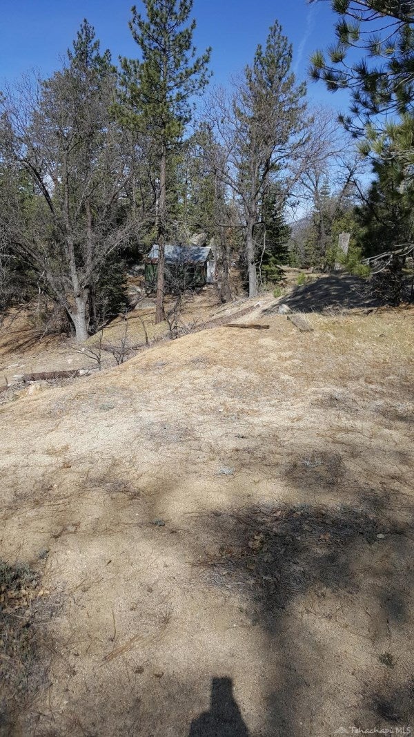 0 Piute Pines Caliente, CA 93518 - Photo 9 of 20 Gallery Image 9