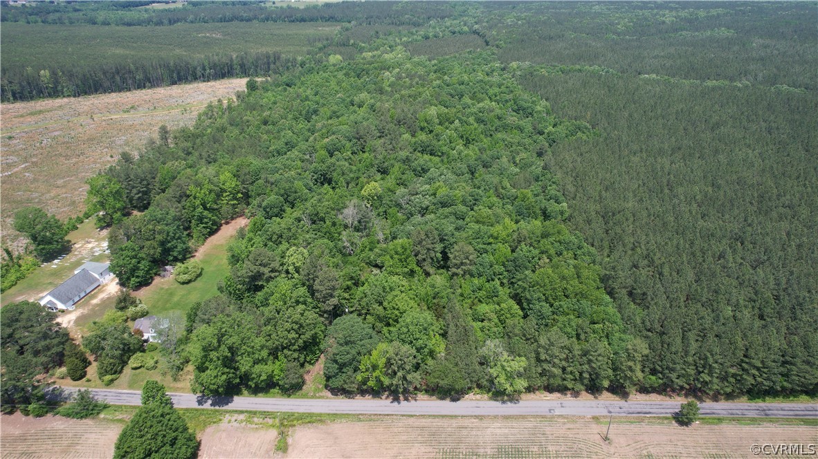 0 Lew Jones Road Dewitt, VA 23840 - Photo 14 of 50 a view of a field of grass and trees