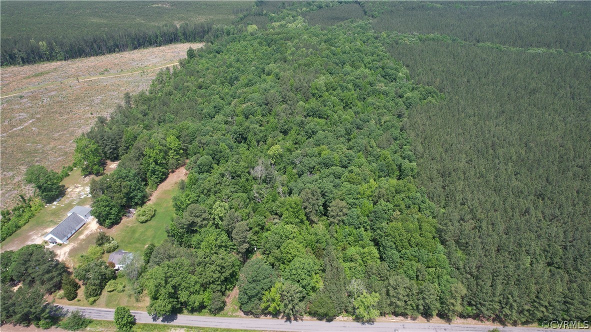 0 Lew Jones Road Dewitt, VA 23840 - Photo 16 of 50 a view of a forest with a street