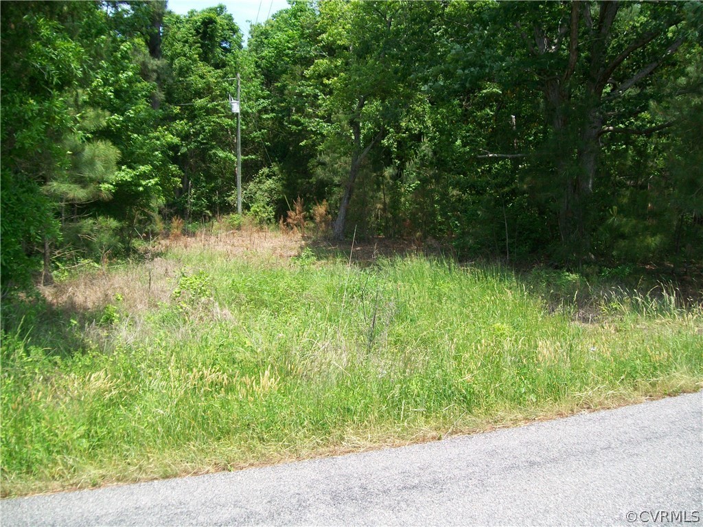 0 Lew Jones Road Dewitt, VA 23840 - Photo 22 of 50 a view of backyard with green space