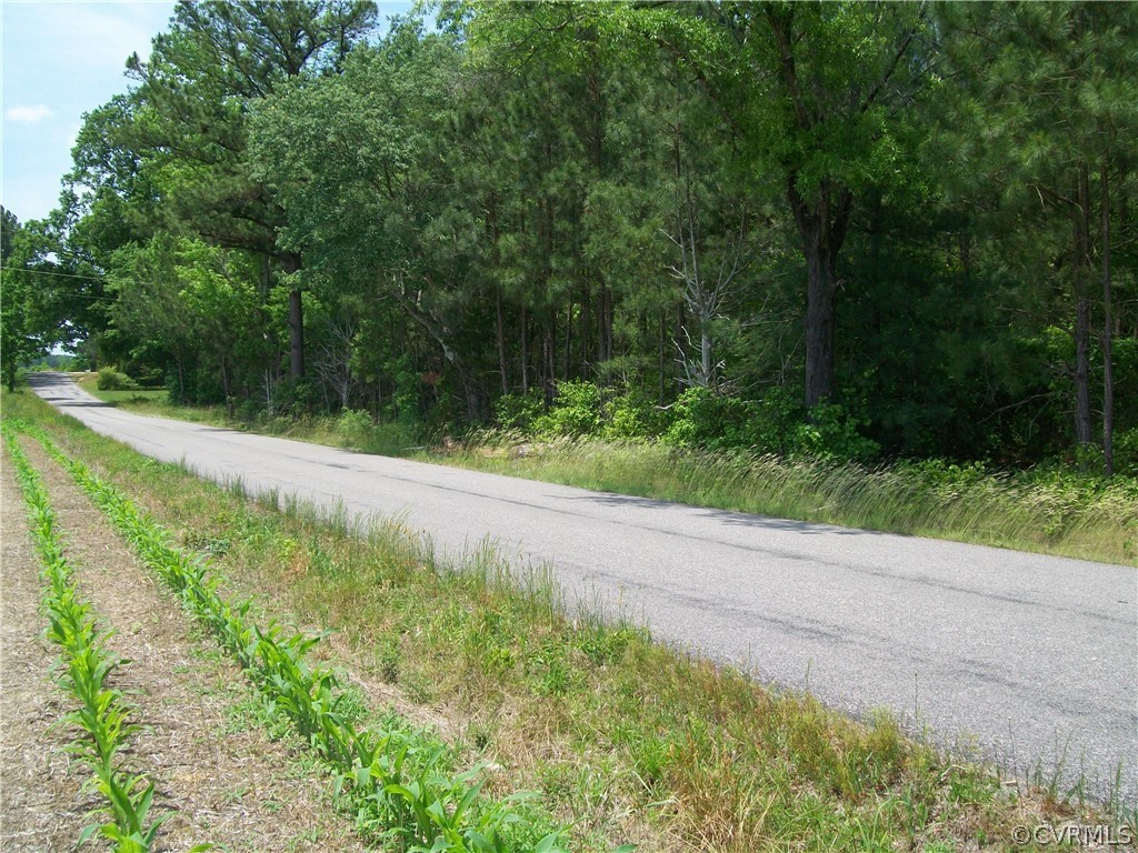 0 Lew Jones Road Dewitt, VA 23840 - Photo 23 of 50 a view of a yard with potted plants and large trees
