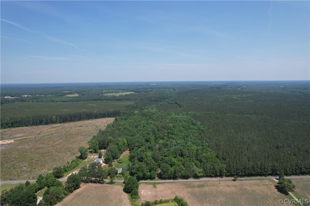 0 Lew Jones Road Dewitt, VA 23840 - Photo 3 of 50 a view of a field with an ocean