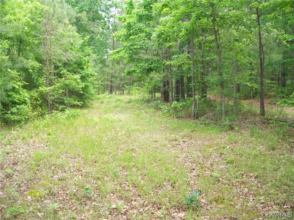 0 Lew Jones Road Dewitt, VA 23840 - Photo 37 of 50 a view of outdoor space and green space