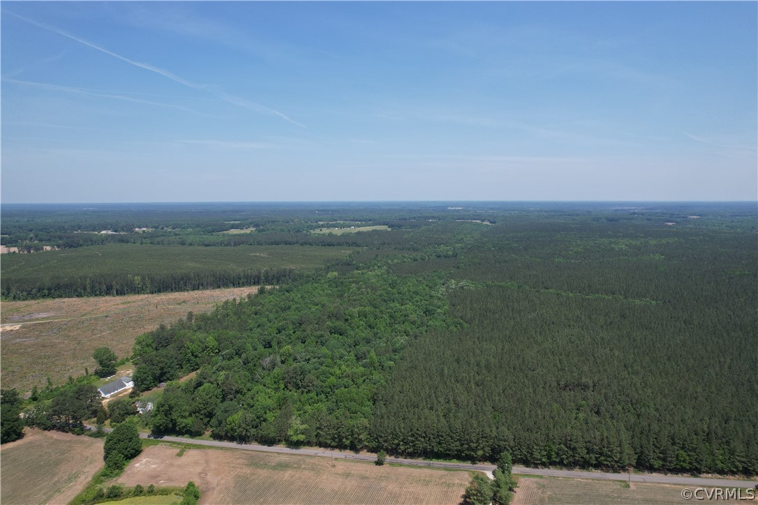 0 Lew Jones Road Dewitt, VA 23840 - Photo 4 of 50 a view of a field with an ocean